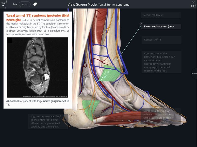 clinical-human-anatomy